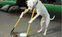 Những "chiêu cười độc" của cộng đồng (P45)