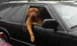 Những "chiêu cười độc" của cộng đồng (P33)