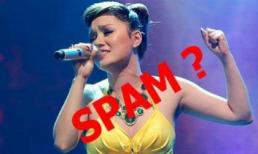 Có âm mưu chơi xấu Ngọc Anh?