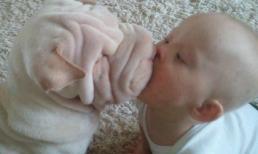 Những "chiêu cười độc" của cộng đồng (P46)