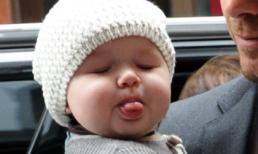 Những khoảnh khắc đáng yêu của con gái Becks!