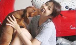 Cún cưng của sao Việt nào đáng yêu nhất?