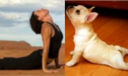 Những "chiêu cười độc" của cộng đồng (P51)