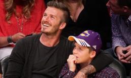 Brooklyn mải mê ôm bố Beckham xem bóng rổ