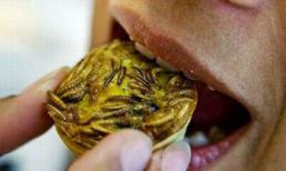 Cả làng ăn sâu bọ ở Tây Nguyên