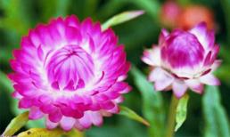 Thứ năm của bạn (5/4)