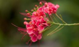 Thứ sáu của bạn (6/4)