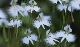 Chủ Nhật của bạn (8/4/2012)