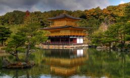 Tuần mới của bạn (9/4 - 15/4)