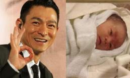 Công chúa cưng của Lưu Đức Hoa chào đời