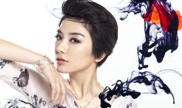 Huỳnh Dịch phiêu diêu như trong tranh thủy mặc