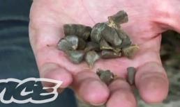 Tiết lộ động trời: “Thuốc thôi miên” có thực