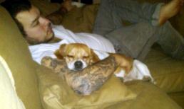 Gây quỹ từ thiện để đòi lại chó cưng từ nhân tình cũ