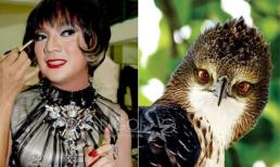 Khi sao Việt 'đụng nhan sắc' các loài vật (P1)