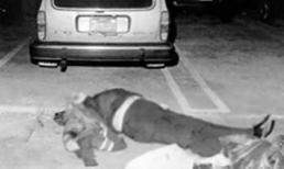 Những vụ thanh toán ông trùm gây chấn động