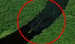 Tìm thấy rắn khổng lồ có 7 mũi