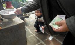 Bi hài chuyện bị phạt và hầu tòa vì... làm phúc