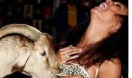 Những "chiêu cười độc" của cộng đồng (P59)