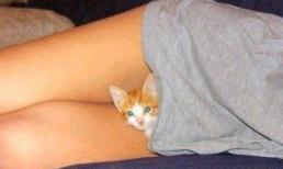 Những "chiêu cười độc" của cộng đồng (P61)