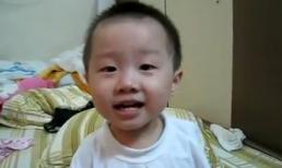 Những nh&oacute;c t&igrave; từng khiến d&acirc;n mạng 'chao đảo'