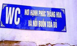 Những hình ảnh 'cực độc' ở Việt Nam