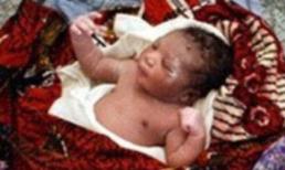 Bé sơ sinh được cứu mạng nhờ... một chú chó