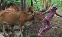 Giải cứu cô gái bị cha cưỡng hiếp, bắt làm “người rừng”