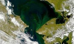 Phát hiện sốc dưới thềm băng Bắc cực