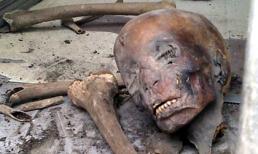 Kinh hoàng thuốc "trị bách bệnh" từ... nội tạng người