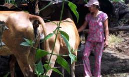 Nghi án loạn luân vụ 2 mẹ con 'người rừng'