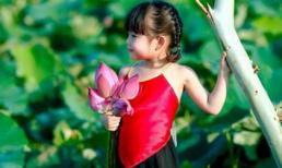 'Siêu mẫu' nhí duyên dáng bên hoa sen