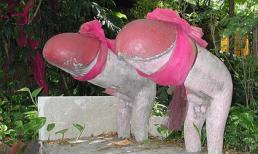 Choáng với đền thờ… 'của quý' ở Bangkok