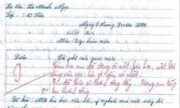 Bài văn về thành công gây xúc động hàng ngàn trái tim