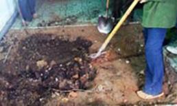 Tù nhân khai thêm vụ giết người đốt xác