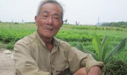 Vụ chôn đầu chó dưới mộ mẹ liệt sỹ: Lời kể của những nhân chứng