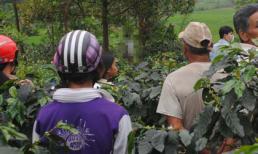 Nữ sinh chết lõa thể trong rẫy cà phê