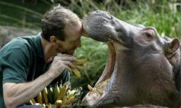 Những khoảng khắc "cười ngủ" của động vật