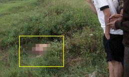 Phát hiện xác một người đàn ông trong lùm cỏ