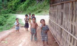 Bi kịch từ tục “ngủ thăm” biến tướng