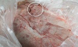 Dòi xuất hiện liên tục trong thực phẩm