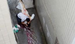 Nhói lòng bức ảnh chàng trai hôn xác người yêu