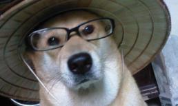 Những "chiêu cười độc" của cộng đồng (P79)