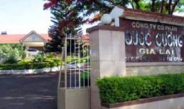 Cổ phiếu của công ty Quốc Cường Gia Lai đang bị cảnh báo giảm mạnh