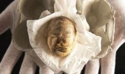 Sốc với quả trứng có giá hơn 3 tỷ đồng