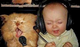 Những "chiêu cười độc" của cộng đồng (P101)