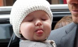 Bé yêu nhà Becks sành điệu nhất Vương quốc Anh