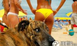 Những chiêu "cười độc" của cộng đồng mạng (P106)