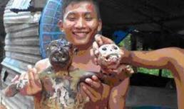 Giết voọc dã man: Triệu tập các quân nhân