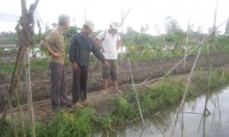 Kỳ án 'bẫy' được xác người phải cõng đi liên tỉnh để phi tang