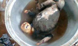 Th&#250; ăn chơi man rợ v&#224; xa xỉ của &#39;&#39;đại gia&#39;&#39; Việt